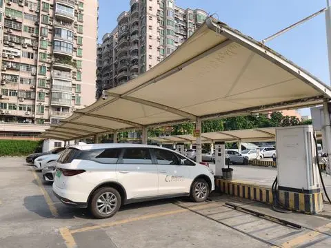 MVIMG_20260920_154425.jpg